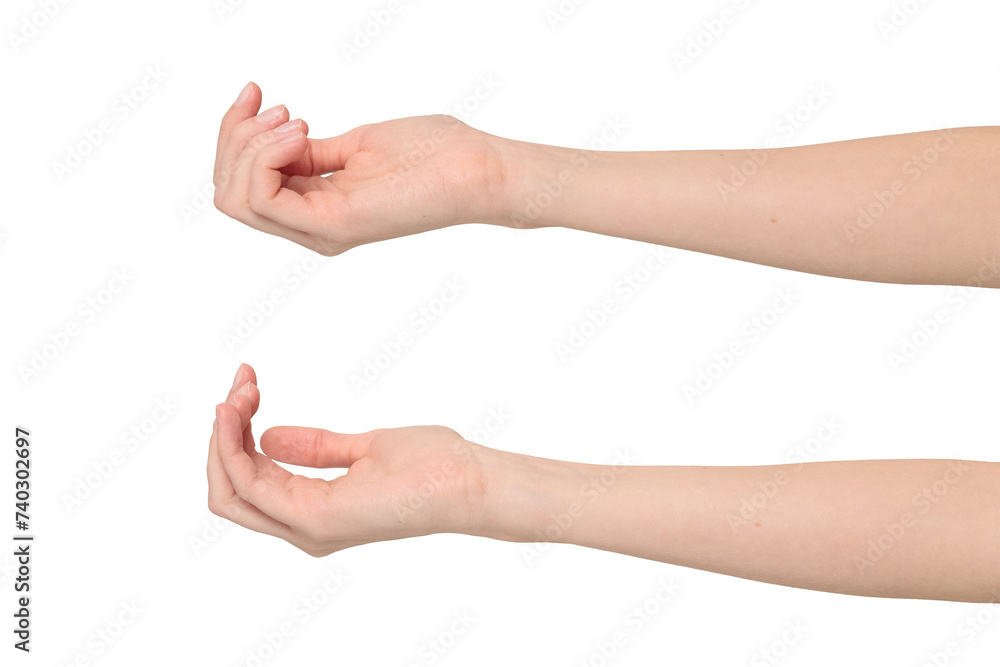 Female hand in a begging gesture, isolated on transparent background, png file Female hand in a begging gesture, isolated on transparent background, png file