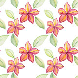 Frangipani flower with leaves seamless pattern hand drawn illustration on isolated background. Botanical seamless pattern.