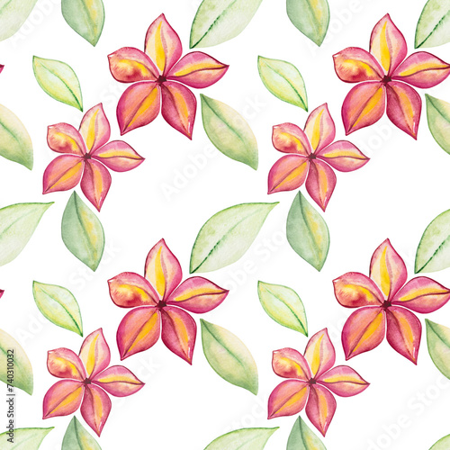 Frangipani flower with leaves seamless pattern hand drawn illustration on isolated background. Botanical seamless pattern.