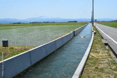 Wallpaper Mural 農業用水路 山形県庄内 Torontodigital.ca