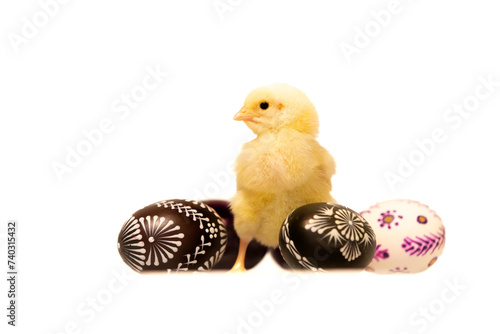 Young chicken with painted eggs. Traditional symbol of easter holidays