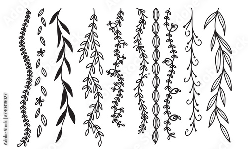 Doodle vertical plants, hand drawn botanical elements illustration, flourish border collection