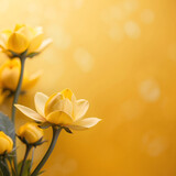 Yellow roses on a yellow background with bokeh and copy space