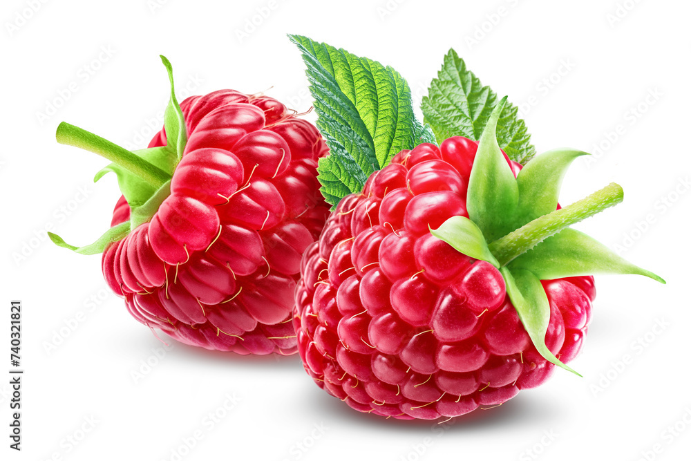 Two juicy raspberries with leaves isolated on white background Two juicy raspberries with leaves isolated on white background
