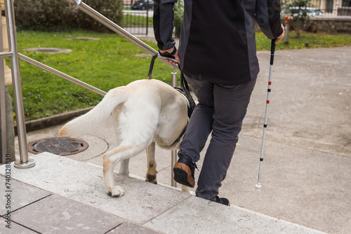Visually impaired woman walking down the stairs with the help of her guide dog. Visual disability and independent lifestyles concept.