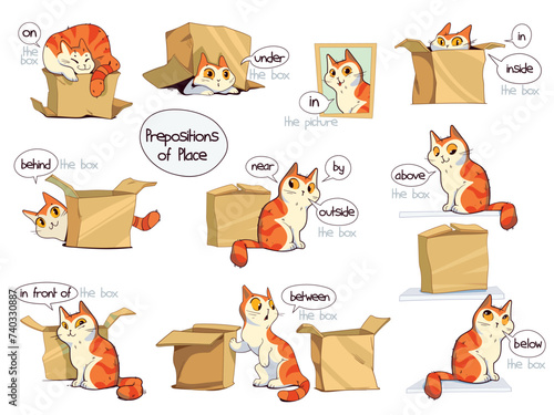Prepositions of place. English prepositions. A clear example with a cat and a box. on, in, inside, outside, under, front, above, below, right, left, behind, between, near, by. Cartoon character. Set