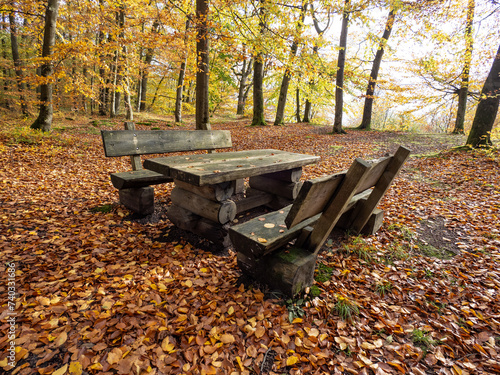 bench and table in autumn forest