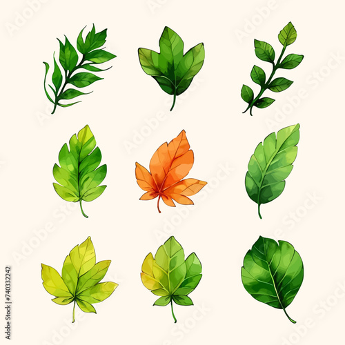 Leaves vector watercolor leaves leaf vector