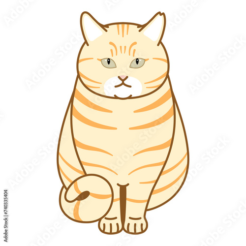 換毛期のねこ