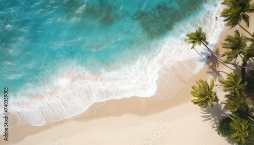 Aerial top view on sand beach, palm tree and ocean, drone photo of a beach, aerial shot