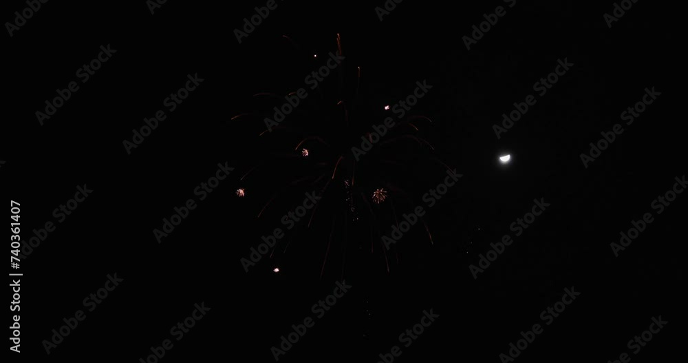 夜空を彩る日本の打ち上げ花火。 夜空を彩る日本の打ち上げ花火。