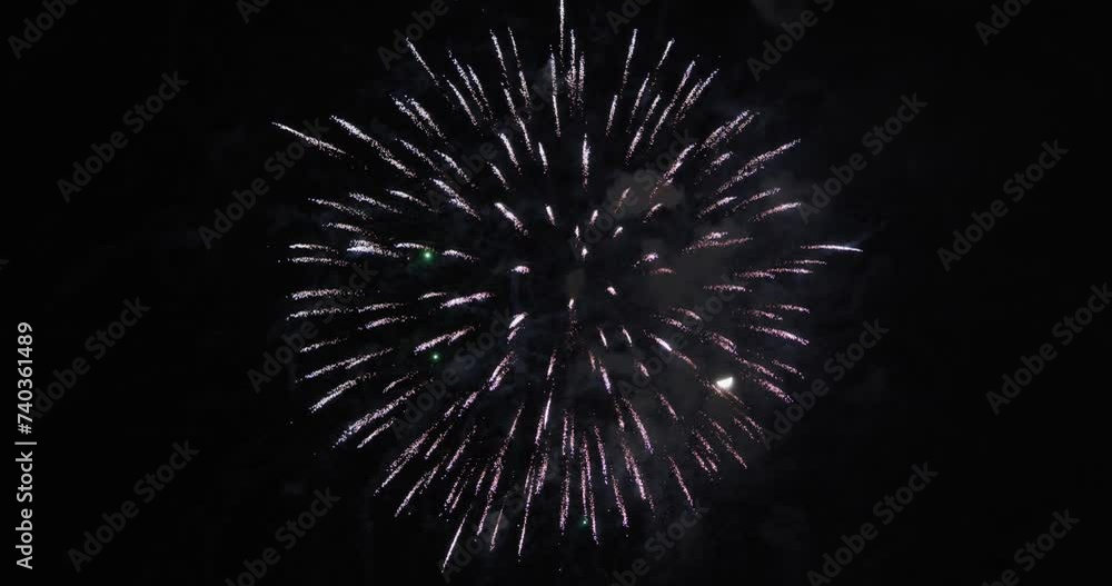 夜空を彩る日本の打ち上げ花火。 夜空を彩る日本の打ち上げ花火。