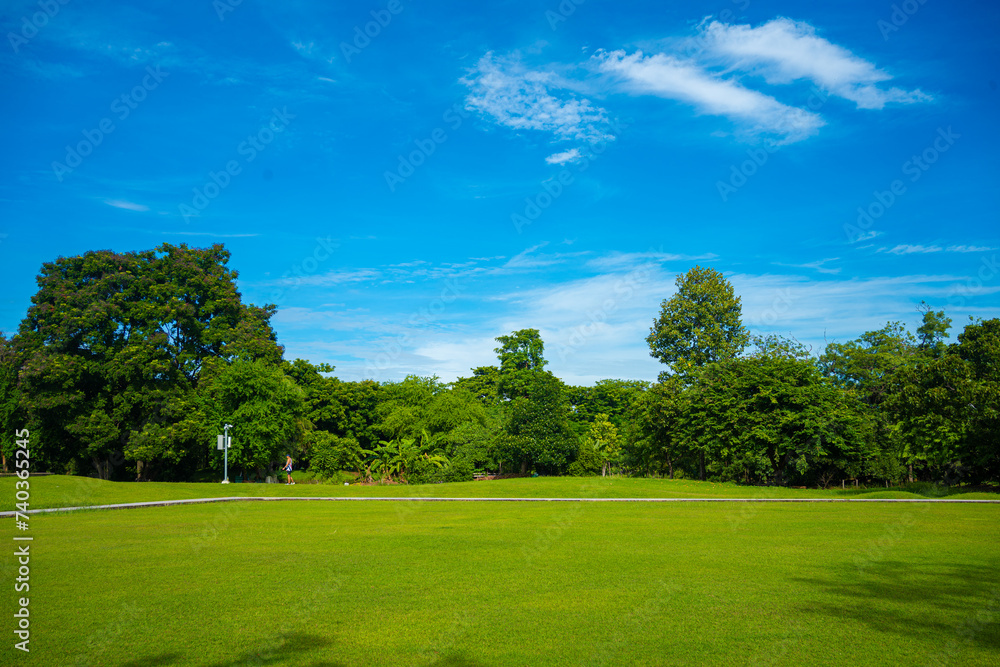 Green meadow grass field in city forest park sunny day blue sky with cloud