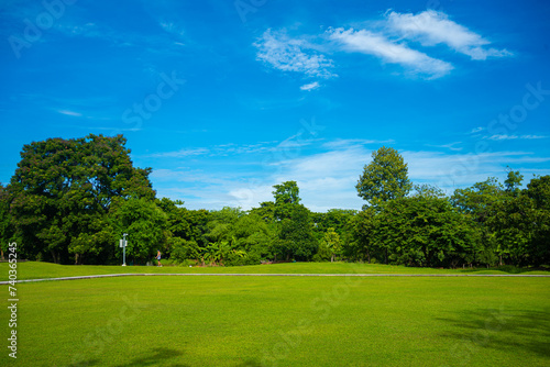 Green meadow grass field in city forest park sunny day blue sky with cloud