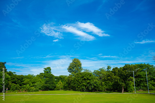 Fototapeta Naklejka Na Ścianę i Meble -  Green meadow grass field in city forest park sunny day blue sky with cloud