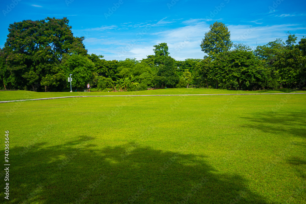 Green meadow grass field in city forest park sunny day blue sky with cloud