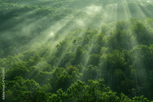 View of radiant sunbeams filtering through the mist over a lush, green forest