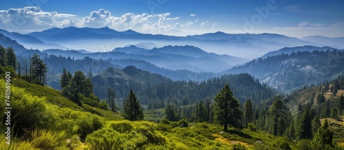 Majestic mountain range landscape with serene trees and distant peaks