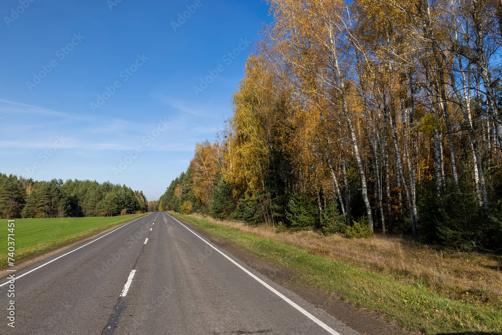 trees along the paved road for cars