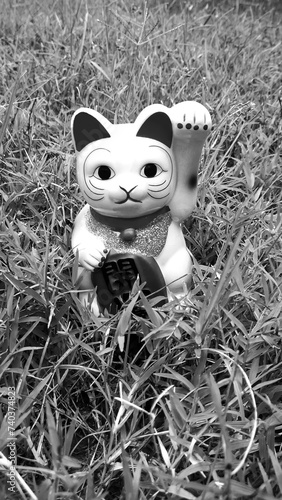 lucky cat, japanese doll ingot mean symbol of luck charm, with white figurine known as maneki neko look happy stand black grass vertical background.