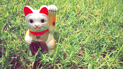 lucky cat, japanese doll ingot mean symbol of luck charm, with white gold figurine known as maneki neko happy on green grass background.