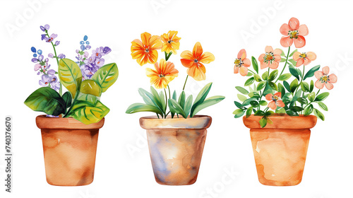 Fototapeta Naklejka Na Ścianę i Meble -  Collection of watercolor paintings of potted flowers