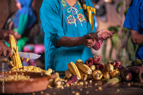 Tableau sur toile The strong hands of a Latin woman open the corn husks and then extract the corn