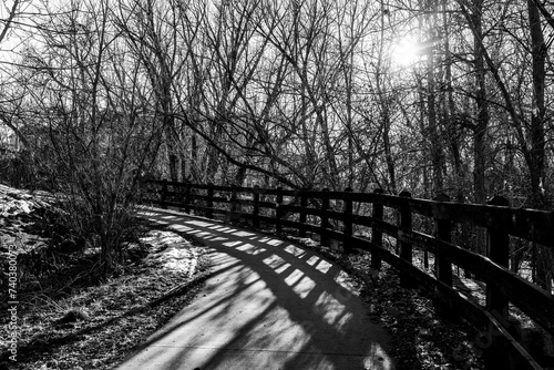 bridge in the woods