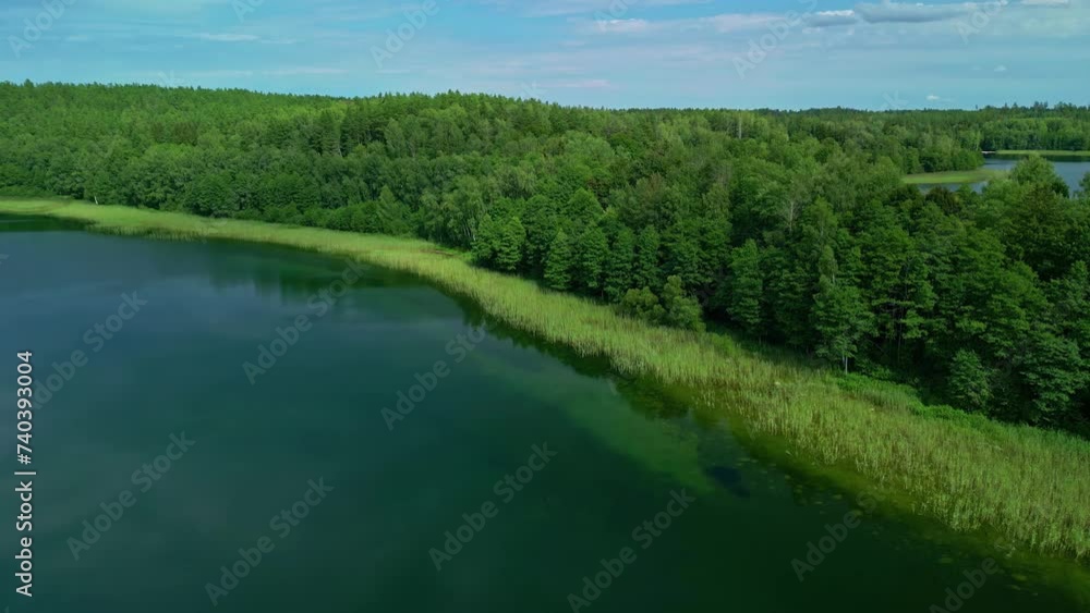 Aerial view of lush green trees adorning fresh lake waters Aerial view of lush green trees adorning fresh lake waters