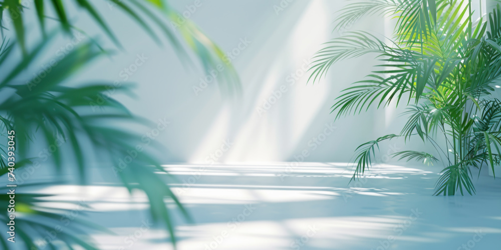Naklejka premium 3d empty wall room space background with palm tree