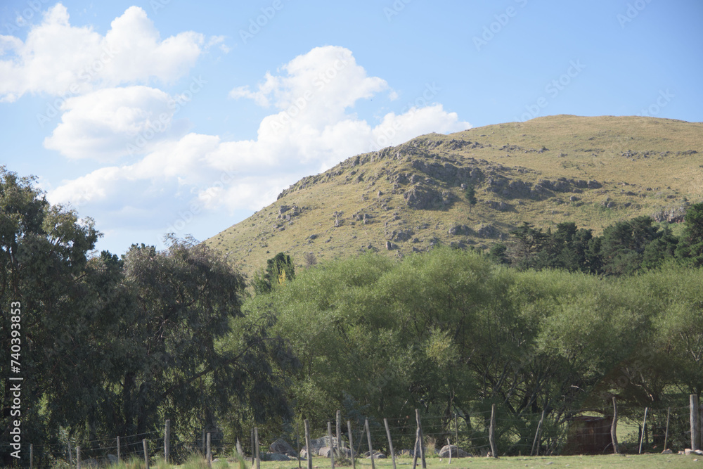 landscape in the mountains