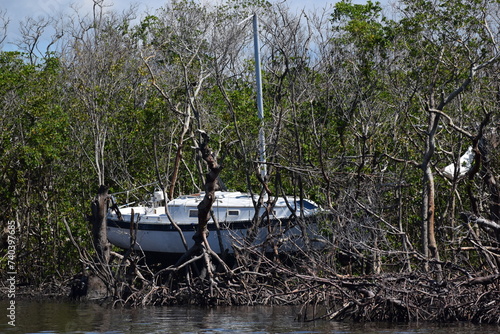 Hurricane Ian Damaged Back Bay Boats Fort Myers Beach Florida