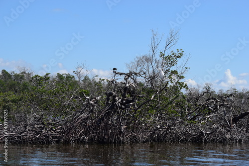 Obraz na płótnie Hurricane Ian damage fort myers beach mangrove island debris w salonie