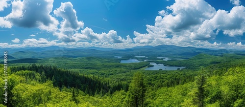 This photo captures a vibrant summer scene in Vermont, showcasing a stunning view of a forest and lake.