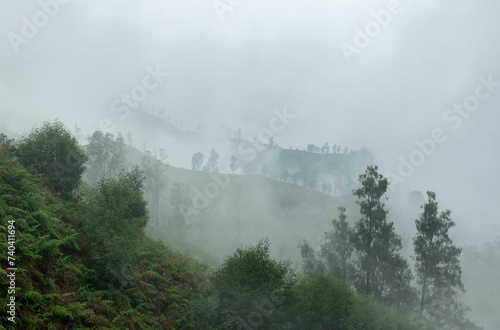 Rolling hills and trees in the mist at the slopes of a hills in forest of rural Java