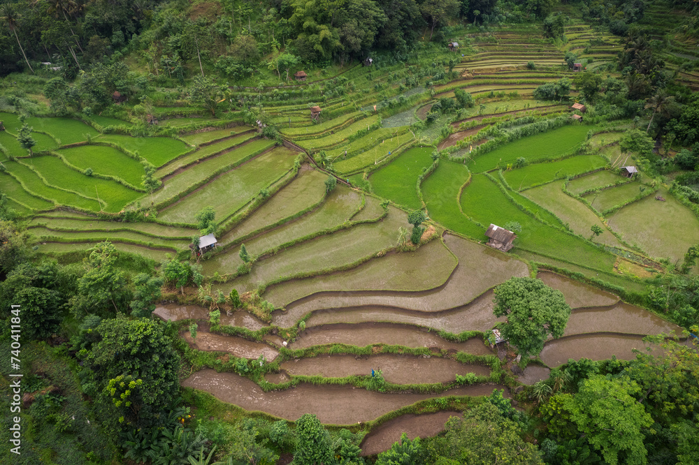 Paddy ricefiled terraces in rural part of Bali island, Karangasem district.