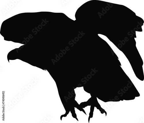 Bald eagle silhouette illustration