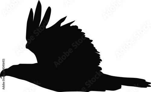 Bald eagle silhouette illustration