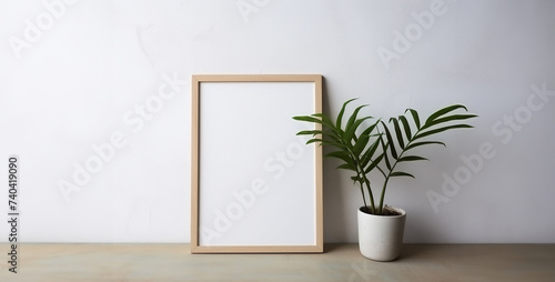 Mock up poster frame with cactus and succulent plant on wooden table.White frame mockup on wooden shelf and green wall. 3d illustration © Kashif Ali 72