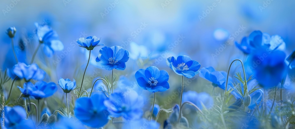Field of electric blue flowers, herbaceous plants with delicate petals, growing amidst the grass. A stunning natural landscape captured in macro photography Field of electric blue flowers, herbaceous plants with delicate petals, growing amidst the grass. A stunning natural landscape captured in macro photography