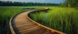 A wooden walkway curves and disappears into a salt marsh surrounded by tall grass in a nature preserve in Jacksonville.