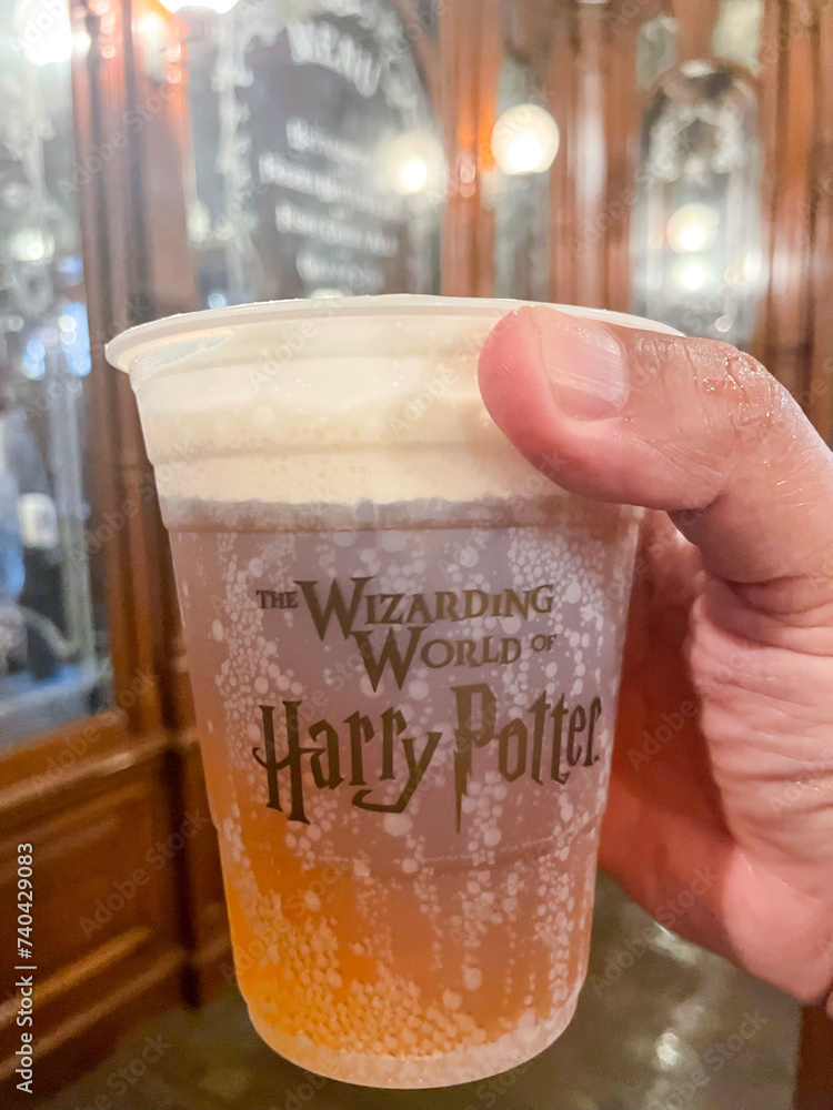 Fototapeta premium Harry Potter Butterbeer the wizarding world of Harry, glass beer