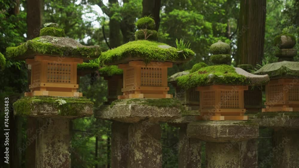Row Of Moss Covered Stone Gold lanterns of Kasugataisha shrine (Kasuga-taisha) In Nara public park. Medium Shot Row Of Moss Covered Stone Gold lanterns of Kasugataisha shrine (Kasuga-taisha) In Nara public park. Medium Shot