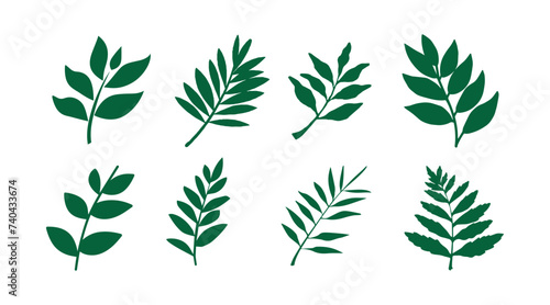 vector collection of illustrations of tropical foliage leaves
