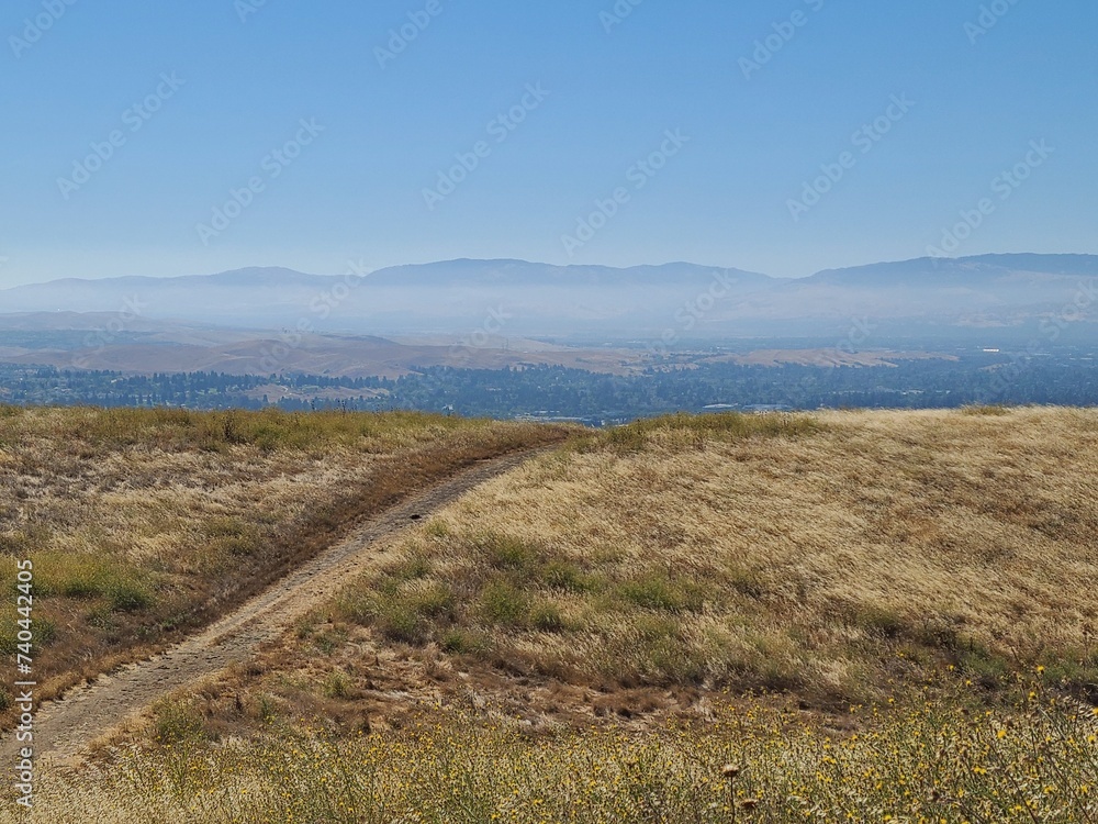 Fototapeta premium Fiddleneck trail in Las Trampas Wilderness, San Ramon, California
