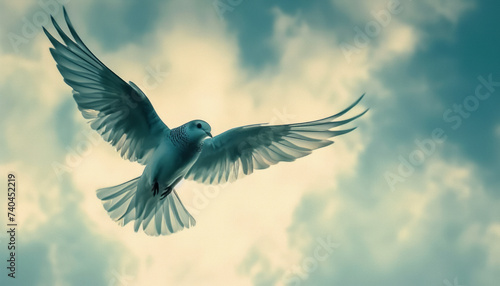 Serene Dove Gliding Through a Cloudy Sky