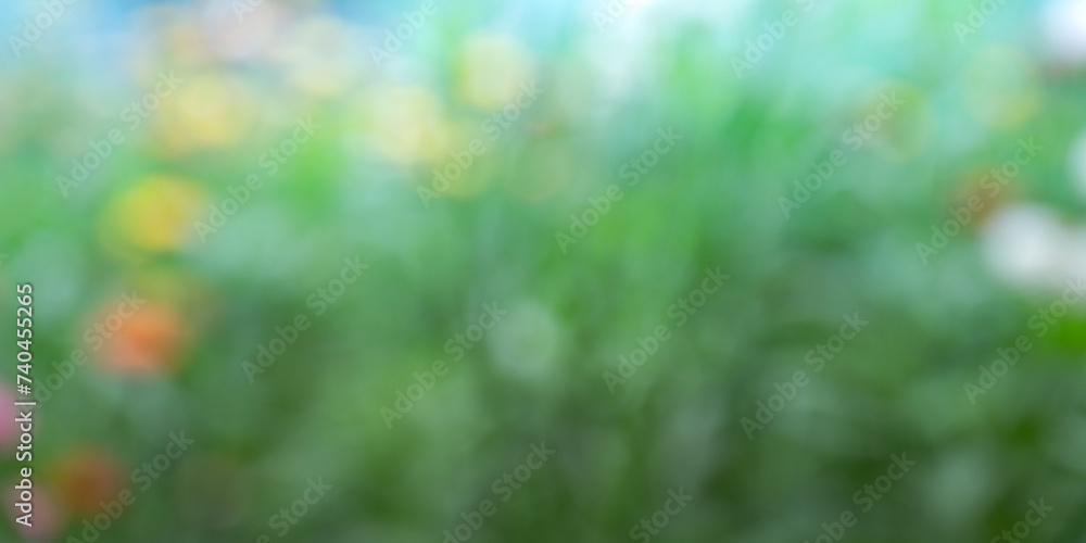 flowers in the garden and grass with blurred background on spring time