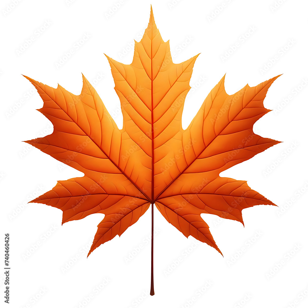 Fototapeta premium autumn maple leaf isolated on transparent background, AI generated 