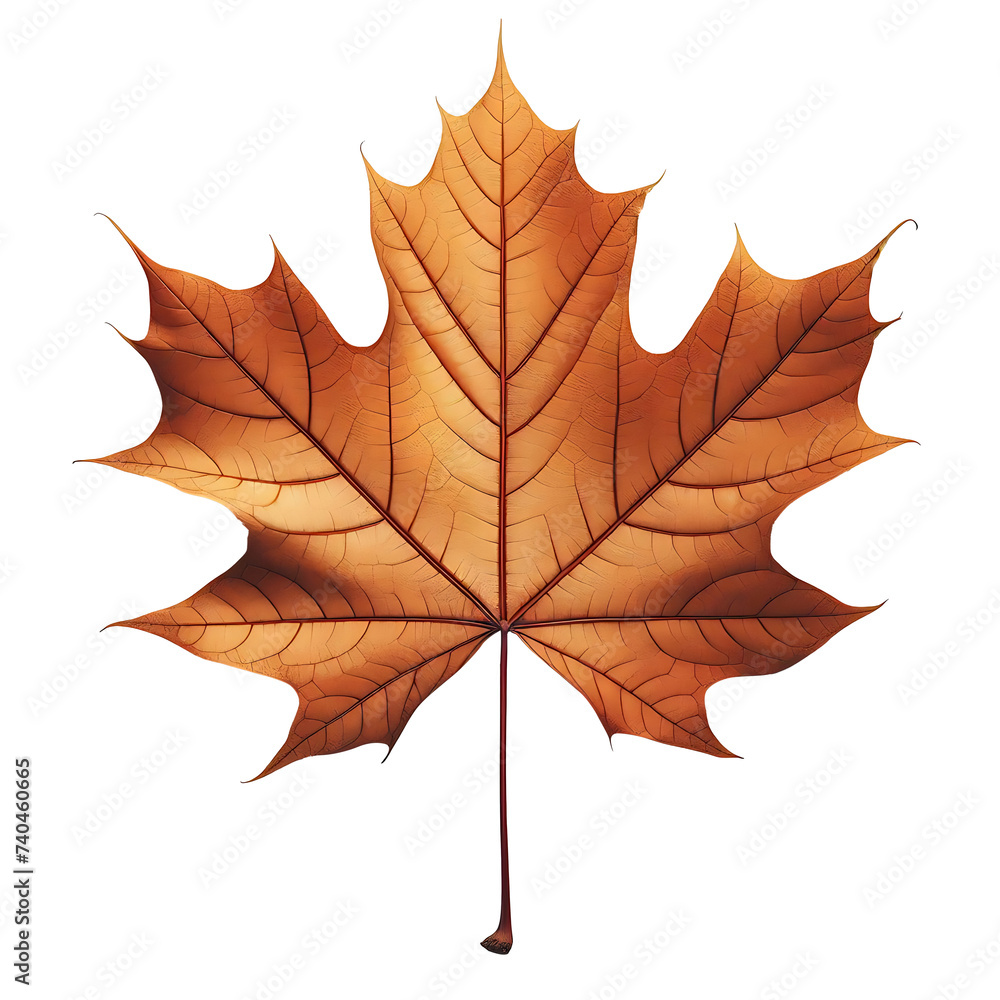 Obraz premium autumn maple leaf isolated on transparent background, AI generated 