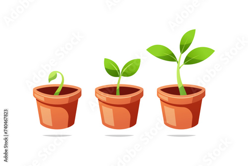 Growing stages of potted plant vector isolated. Sprouting baby plant vector.